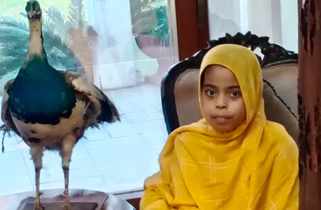Baryalai fatima